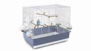 Savršena ćelija za valovite papagaj